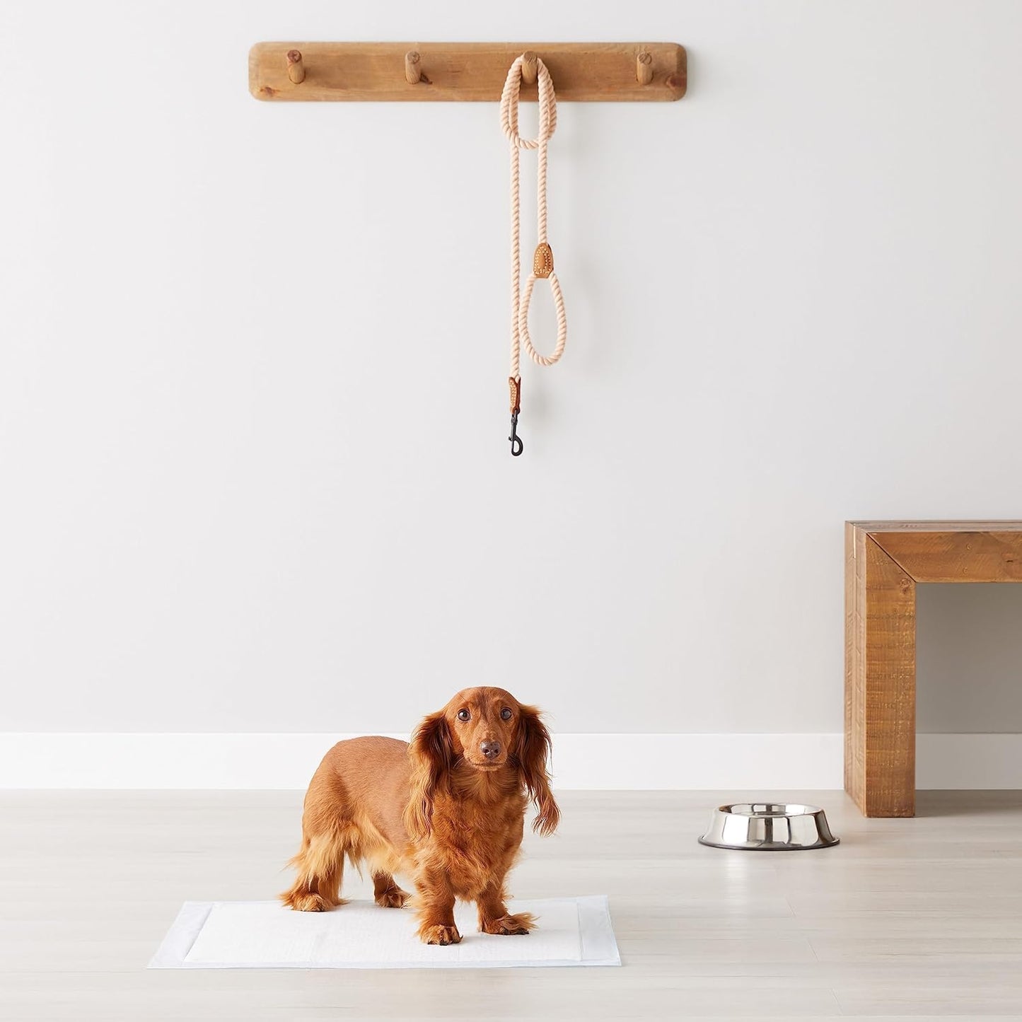 Dog pee pad being used in a pet crate to show leak-proof protection and floor safety.