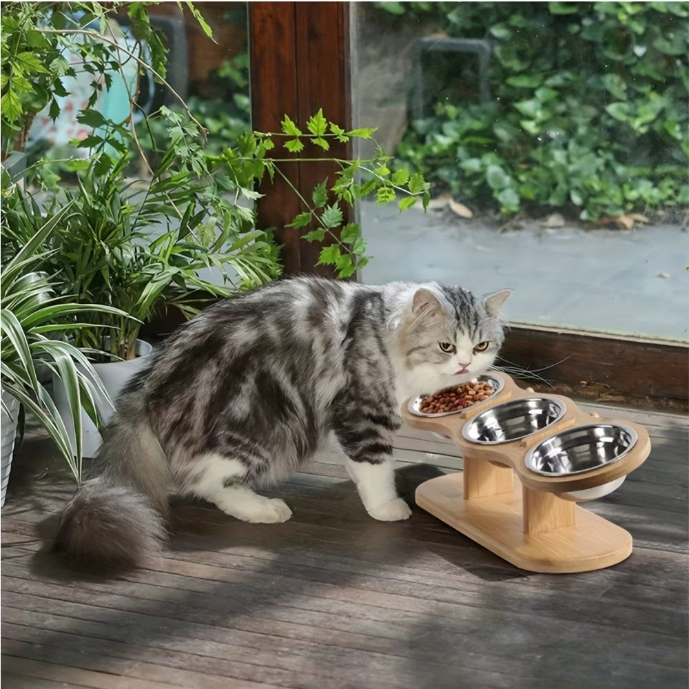 Premium Tilted Stainless Steel Elevated Bowls for Cats & Small Dogs - Zelii Mart